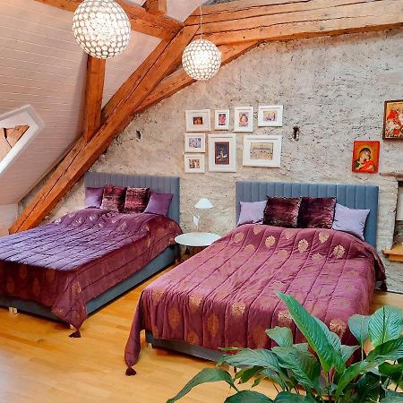 Maison D'Ammann Фрибур Экстерьер фото